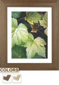 Wood Frame 24x32 ins | 60x80cm